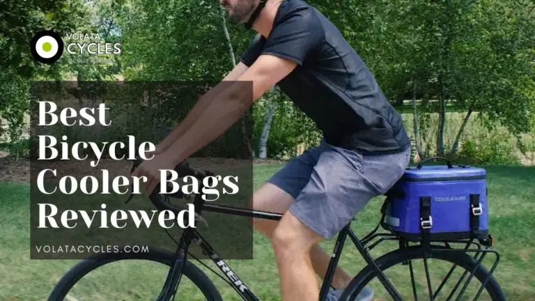 Best-Bicycle-Cooler-Bags