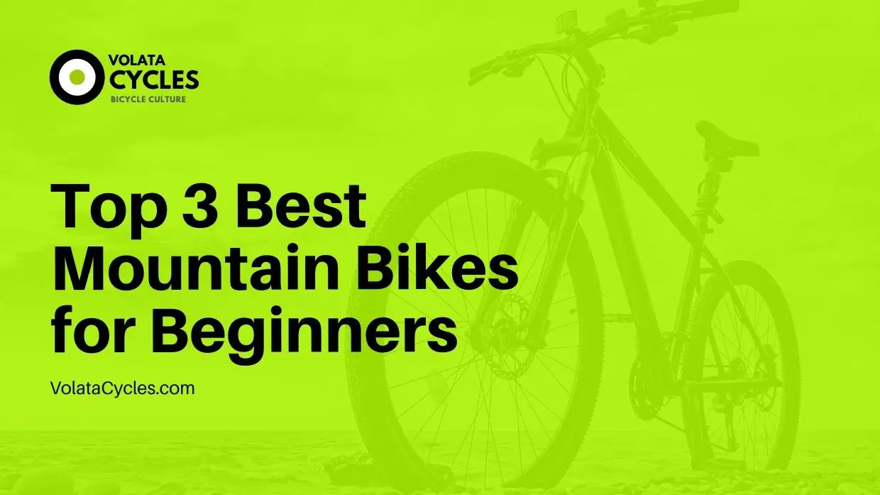 Top 3 Best Mountain Bikes for Beginners