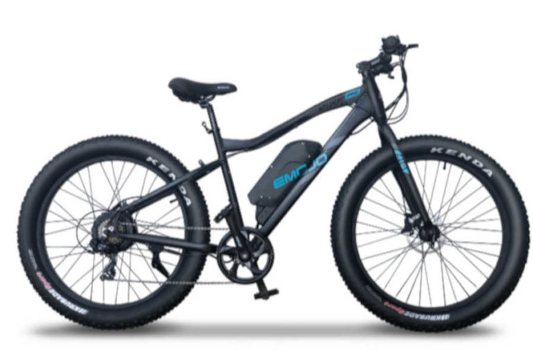 Best Electric Bicycle Brands (Top 5)