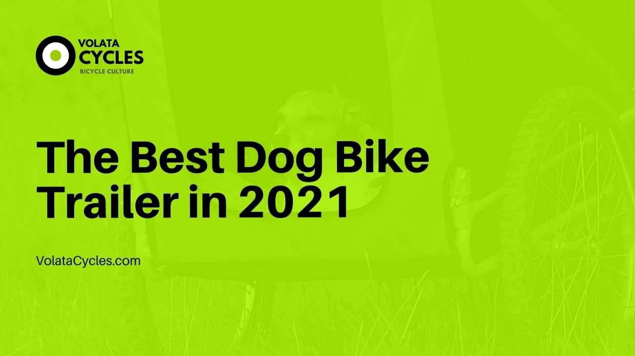 The Best Dog Bike Trailer in 2021