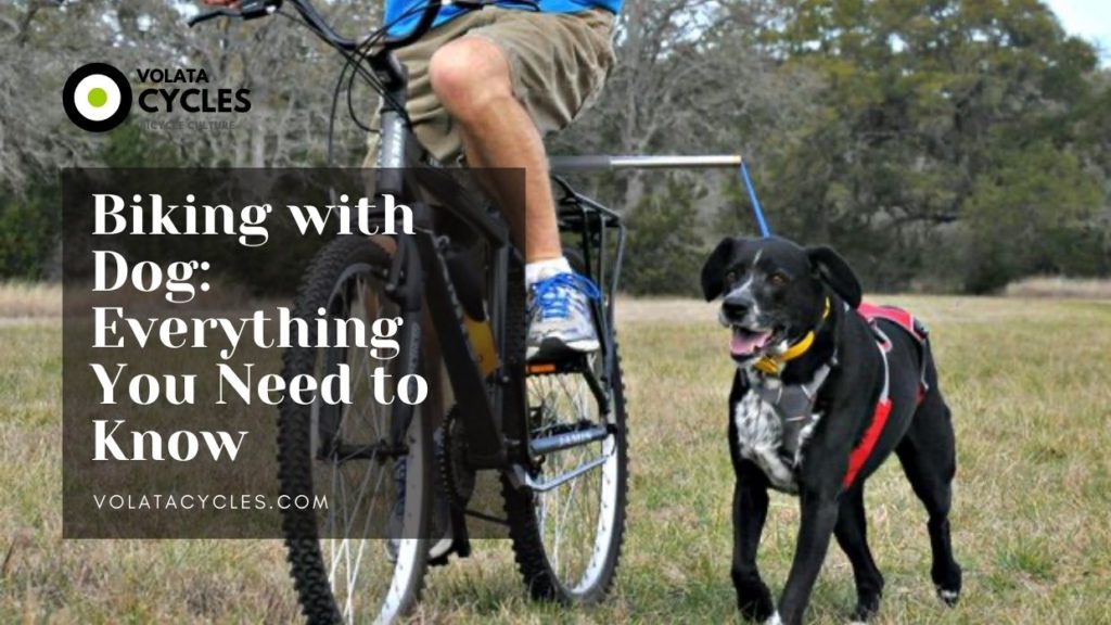Biking With Dog Everything You Need To Know