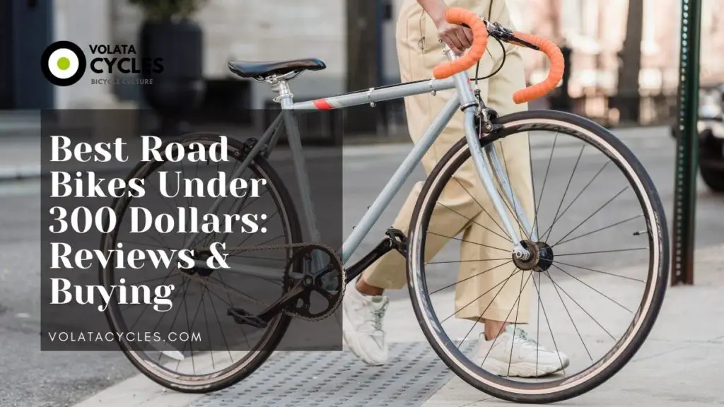 Best Road Bikes Under 300 Dollars: Reviews & Buying