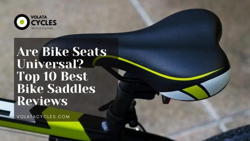 Are Bike Seats Universal Top 10 Best Bike Saddles Reviews