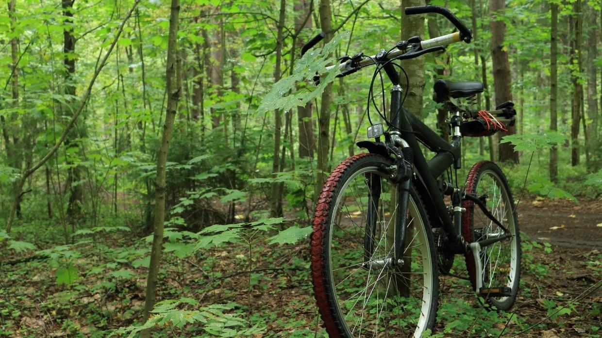 Why Should You Add Mountain Bike Bar Ends? Top 5 Best