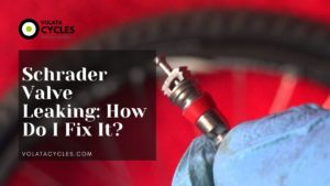 Schrader Valve Leaking: How Do I Fix It? (Solved)
